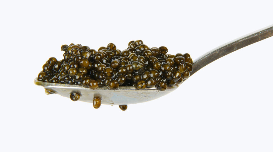 Caviar Spoons: What Spoon To Use For Caviar
