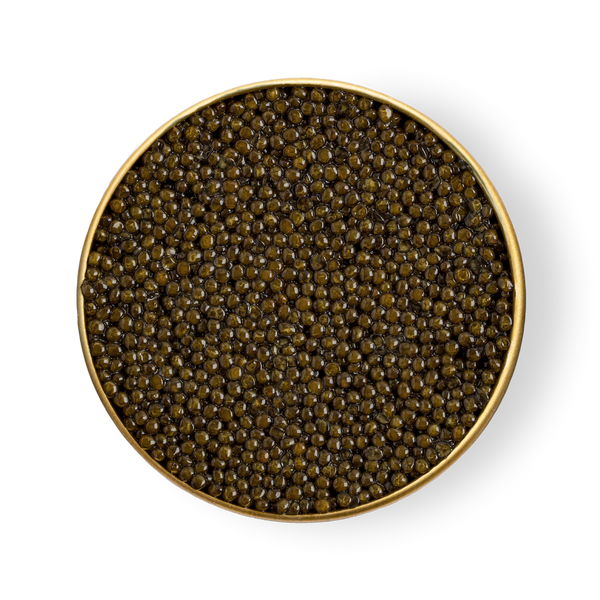 A close up of black caviar in a gold tin