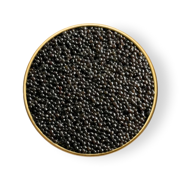 A close up of Petrusco Paddlefish caviar in an open tin.