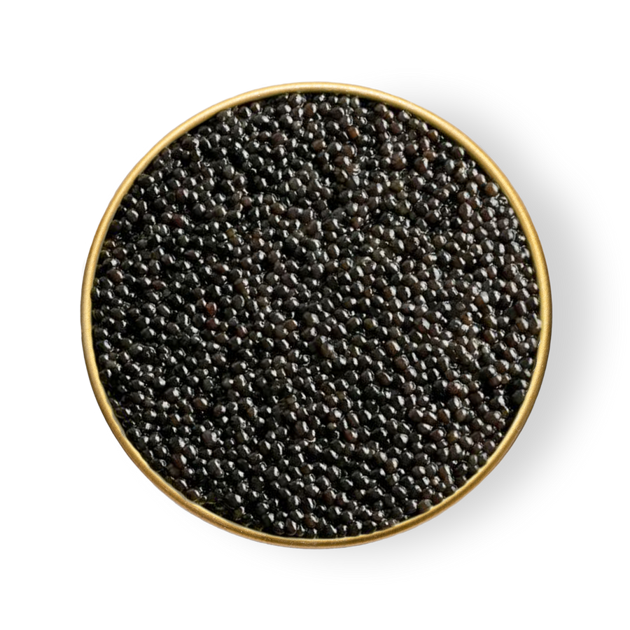 A close up of Petrusco Paddlefish caviar in an open tin.
