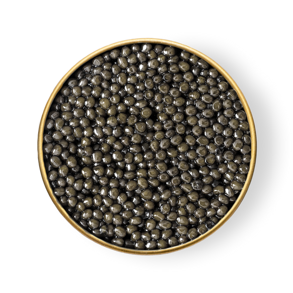 A close up of Petrusco Sevruga caviar in an open tin.
