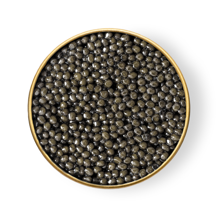 A close up of Petrusco Sevruga caviar in an open tin.