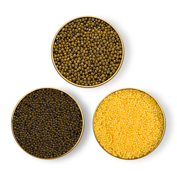 Three different types of caviar in separate tins