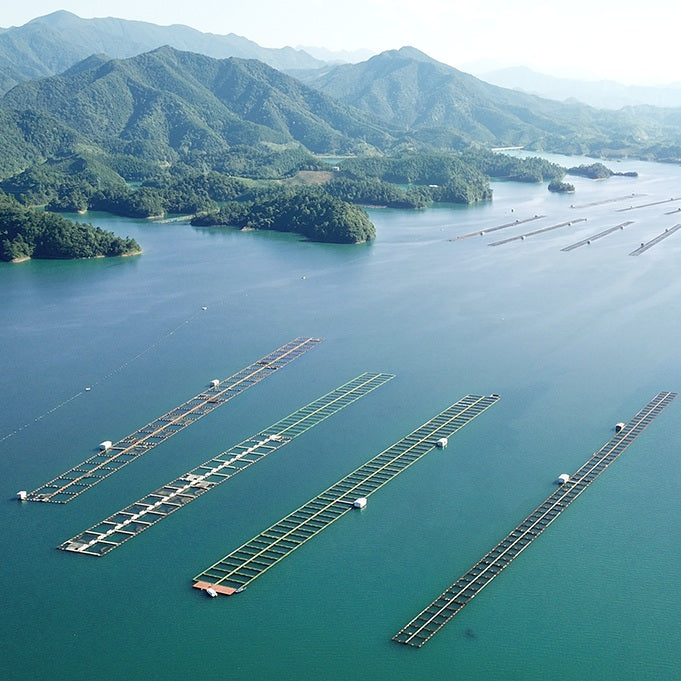Sustainably Farmed for the Future