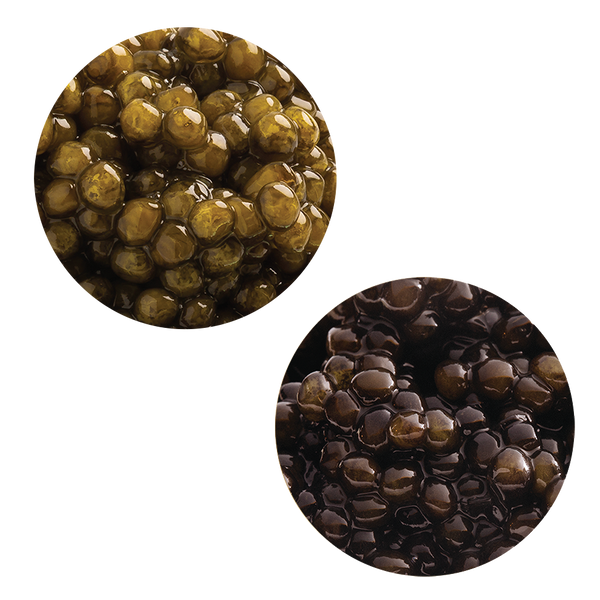 Royal Ossetra & River Beluga Hybrid Caviar Gift Bundle