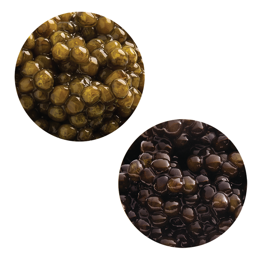 Royal Ossetra & River Beluga Hybrid Caviar Gift Bundle